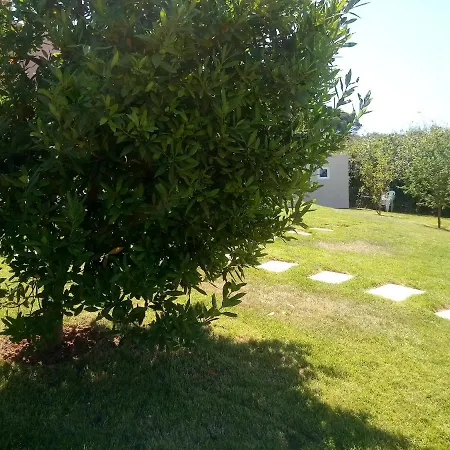 Casal Do Pinheiro Hébergement de vacances *